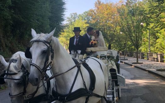 Il Centro Ippico Iannibelli.