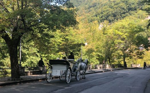 Il Centro Ippico Iannibelli.