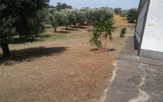 Vendo Villa Santa Sofia D’Epiro.