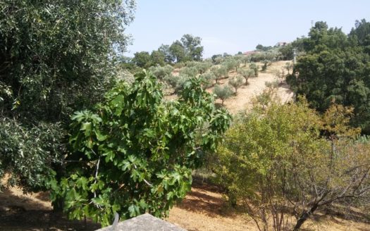 Vendo Villa Santa Sofia D’Epiro.