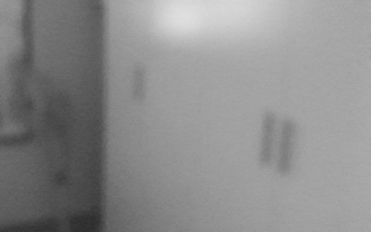 CASA INDIPENDENTE IN FITTO