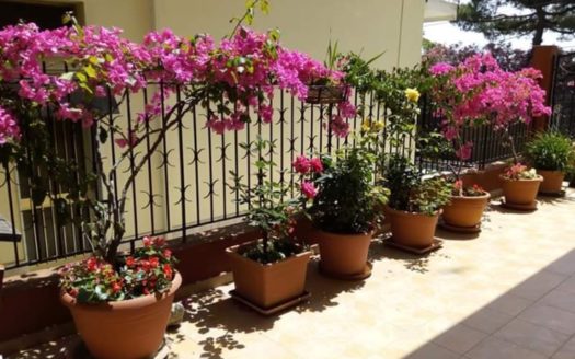 B&B Shabby Chic Soverato.