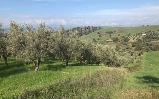 Terreno Agricolo a Bisignano