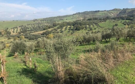 Terreno Agricolo a Bisignano