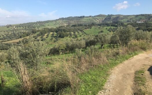 Terreno Agricolo a Bisignano