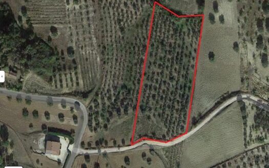 Terreno Agricolo a Bisignano