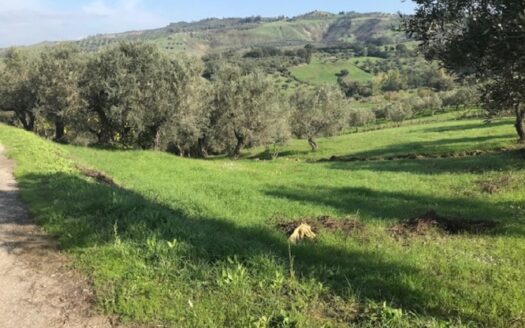 Vendesi Terreno Agricolo a Bisignano