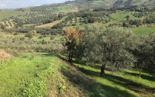 Vendesi Terreno Agricolo a Bisignano