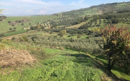 Vendesi Terreno Agricolo a Bisignano
