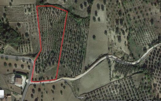 Vendesi Terreno Agricolo a Bisignano