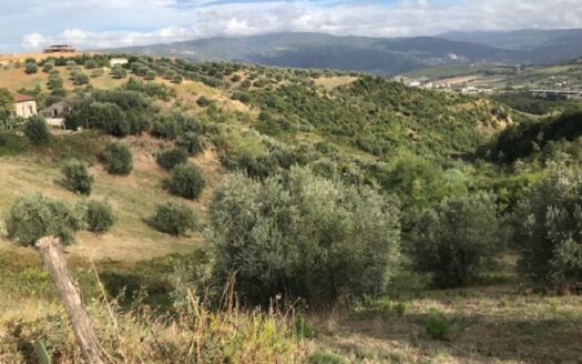 Vendesi Casa più terreno a Lattarico