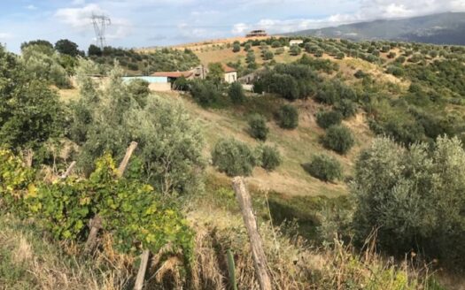 Vendesi Casa più terreno a Lattarico