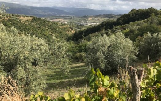 Vendesi Casa più terreno a Lattarico
