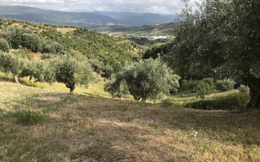 Vendesi Casa più terreno a Lattarico