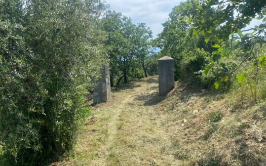 Terreno a San Salvatore, Spezzano Albanese.