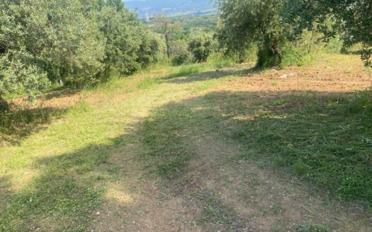 Terreno a San Salvatore, Spezzano Albanese.