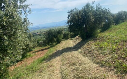 Terreno a San Salvatore, Spezzano Albanese.