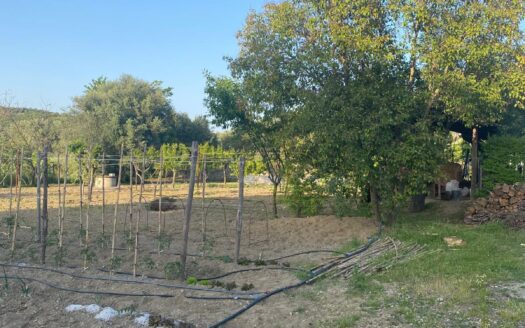 Terreno edificabile in Contrada Arena, Bisignano (Cs)