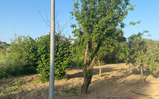 Terreno edificabile in Contrada Arena, Bisignano (Cs)