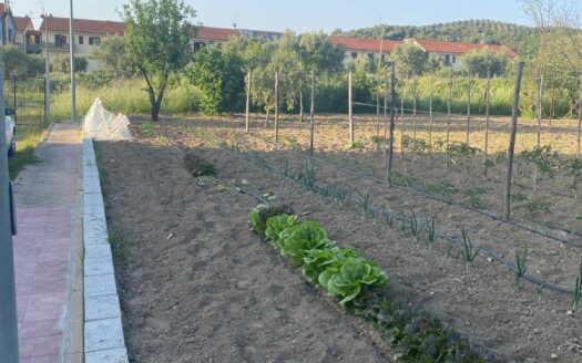 Terreno edificabile in Contrada Arena, Bisignano (Cs)